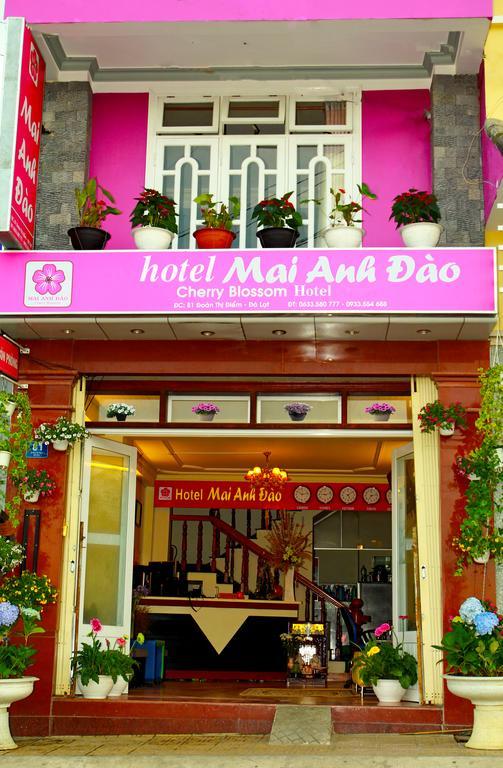 Mai Anh Dao Hotel Dalat Rom bilde
