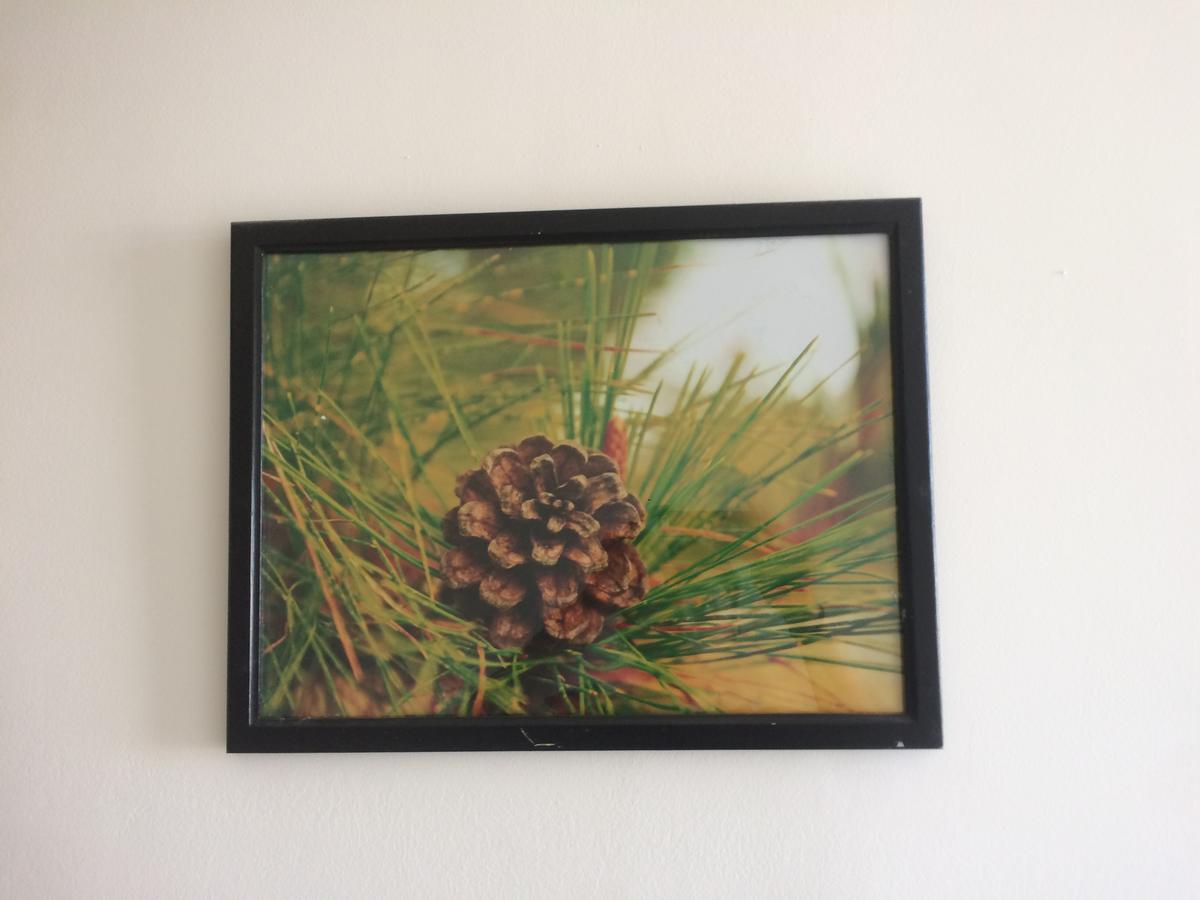 Mai Anh Dao Hotel Dalat Eksteriør bilde